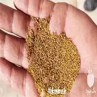 فروش انواع بذر یونجه با پایین در مشهد در گروه خرید و فروش بذر یونجه در یکمیوه