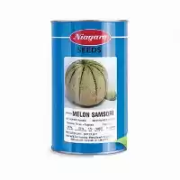 قیمت خرید بذر طالبی سمسوری نیاگارا در مشهد در گروه خرید و فروش بذر طالبی در یکمیوه