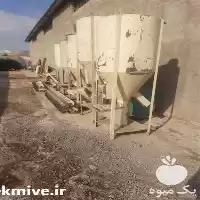 فروش لوازم مرغداری در اهواز در گروه تجهیزات مرغداری در یکمیوه