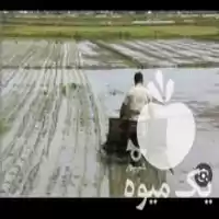 نشاکاری با دستگاه نشا در محمودآباد در گروه خدمات نشا کاری در یکمیوه