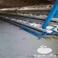 فروش تجهیزات مرغداری نو و دست دوم در بیرجند در گروه تجهیزات مرغداری در یکمیوه