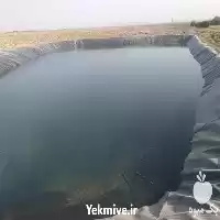 قیمت خرید نصب استخرهای پلیمری در گروه خرید و فروش استخر کشاورزی در یکمیوه