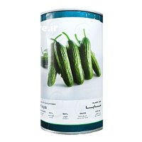 فروش بذر خیار هیبرید مایا فلات در گروه خرید و فروش بذر خیار در یکمیوه