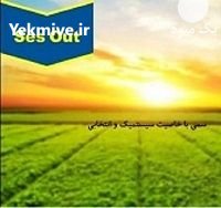 قیمت سم علف کش سس اوت در گروه خرید و فروش انواع سم در یکمیوه