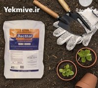فروش سم داکتال در دستجرد در گروه خرید و فروش انواع سم در یکمیوه