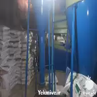 فروش انواع بذر یونجه پایه بلند در جویبار در گروه خرید و فروش بذر یونجه در یکمیوه