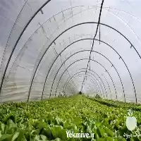 قیمت خرید تولید نایلون عریض کشاورزی در اردبیل در گروه خرید و فروش انواع پوشش ها در یکمیوه