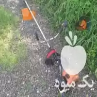 علف زنی با دستگاه پیشرفته در آستانه اشرفیه در گروه خدمات باغبانی در یکمیوه