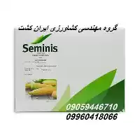 فروش بذر ذرت شیرین مسنجر در شیراز در گروه خرید و فروش بذر ذرت در یکمیوه