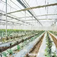 قیمت خرید تولید پلاستیک گلخانه در اهواز در گروه خرید و فروش انواع پوشش ها در یکمیوه