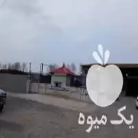 سورتینگ مرکبات سورتینگ در گروه سورتینگ در یکمیوه
