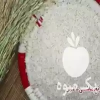 عمده برنج هاشمی ممتاز ایرانی سورتینگ در تهران در گروه خرید و فروش برنج در یکمیوه