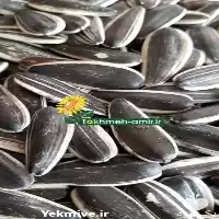 فروش پخش بذر تخمه آفتابگردان تخمه در زاهدان در گروه خرید و فروش انواع تخمه در یکمیوه
