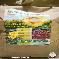 فروش بذر زودرس تخمه آفتابگردان آجیلی در گروه خرید و فروش انواع تخمه در یکمیوه
