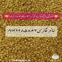 قیمت خرید بذر یونجه پایه بلند در گروه خرید و فروش بذر یونجه در یکمیوه