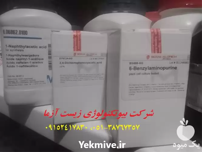 قیمت خرید دنیای هورمون های گیاهی در مشهد در گروه خرید و فروش انواع کود کشاورزی در یکمیوه -عکس1