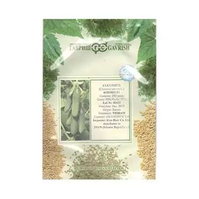 فروش بذر خیار خاردار هیبرید گلخانه در هرمز در گروه خرید و فروش بذر خیار در یکمیوه -عکس1