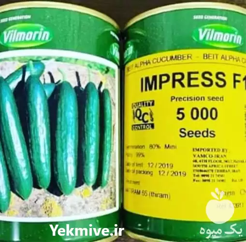 فروش بذر خیار فضای باز ایمپرس در گروه خرید و فروش بذر خیار در یکمیوه -عکس1
