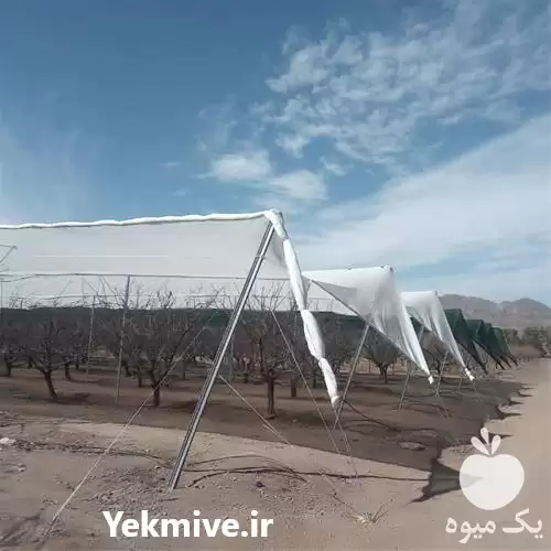 فروش طراحی و نصب باغ در گروه خرید و فروش انواع تجهیزات کشاورزی در یکمیوه -عکس1