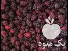 فروش انبه منجمد البالو شاه توت در آبادان در گروه خرید و فروش انبه در یکمیوه -عکس1