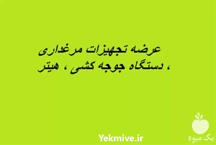 قیمت خرید عرضه تجهیزات مرغداری در کرج در گروه تجهیزات مرغداری در یکمیوه -عکس1