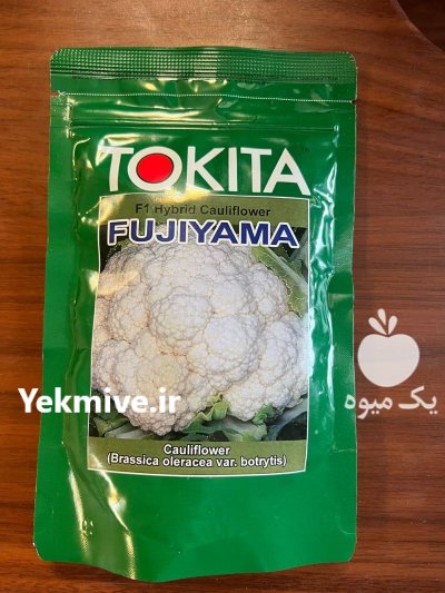 فروش بذر گل کلم توکیتا فوجی در بجنورد در گروه خرید و فروش بذر صیفی جات در یکمیوه -عکس1