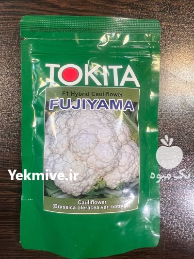 فروش بذر گل کلم توکیتا فوجی در بجنورد در گروه خرید و فروش بذر صیفی جات در یکمیوه -عکس2