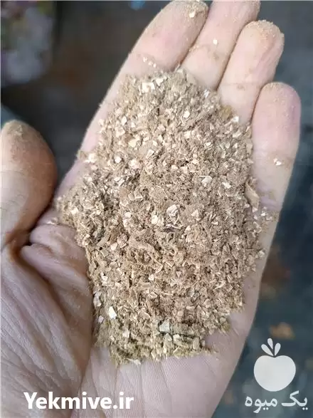 فروش خوراک دام و طیور پودر در تهران در گروه خوراک دام و طیور در یکمیوه -عکس1