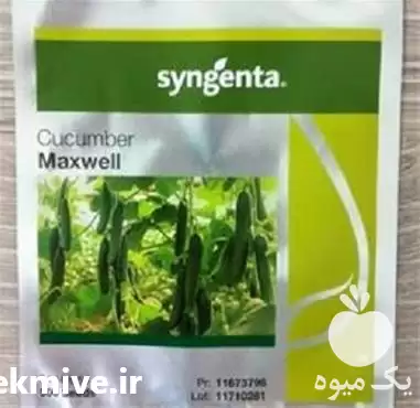 قیمت خرید بذر خیار گلخانه ای در تهران در گروه خرید و فروش بذر خیار در یکمیوه -عکس1