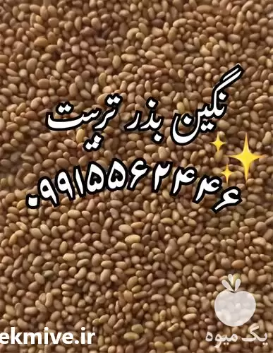 قیمت خرید قیمت بذر یونجه سورت در سمنان در گروه خرید و فروش بذر یونجه در یکمیوه -عکس1