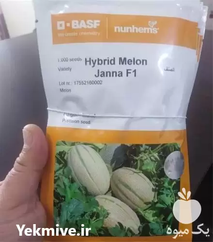 فروش بذر خربزه جانا  ارسال در شیراز در گروه خرید و فروش بذر خربزه در یکمیوه -عکس1