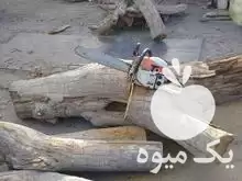 قیمت خرید هرس و برش درخت در پاکدشت در گروه خرید و فروش انواع چوب در یکمیوه -عکس1