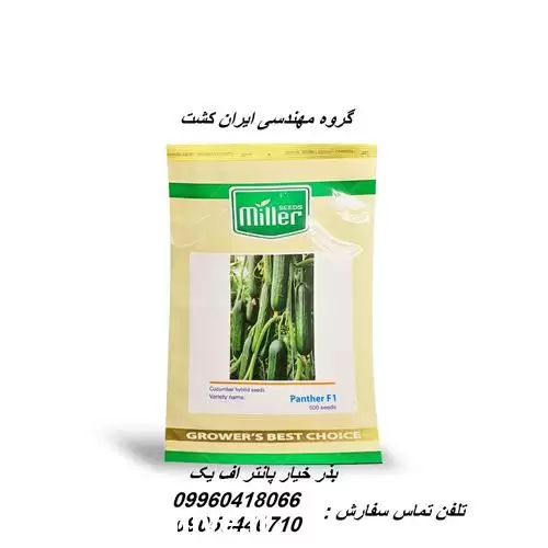 قیمت خرید بذر خیار گلخانه ای در سمنان در گروه خرید و فروش بذر خیار در یکمیوه -عکس1