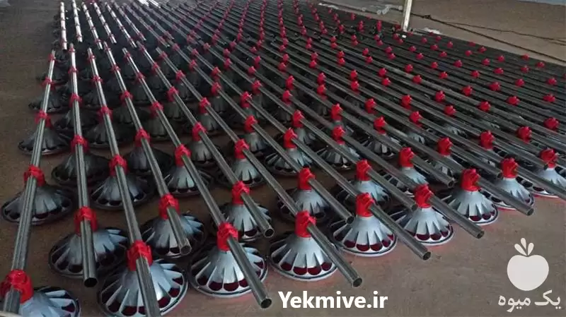 قیمت خرید نصب راه اندازی سالن در تهران در گروه تجهیزات مرغداری در یکمیوه -عکس1