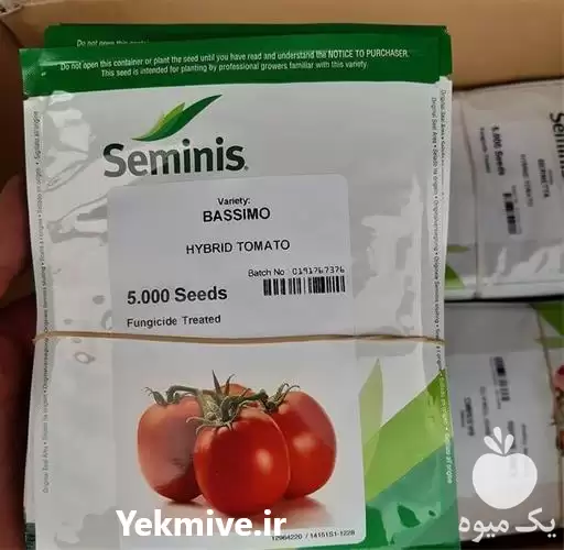 بذر گوجه باسیمو چر فروش اصل در اصفهان در گروه خرید و فروش بذر گوجه در یکمیوه -عکس1