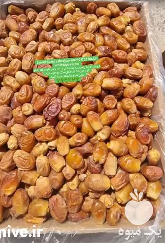 فروش خرما زاهدی نوبرانه درجه یک در ارومیه در گروه خرید و فروش خرما در یکمیوه -عکس1