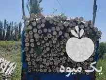 فروش خریدار چوب درخت خرید چوب در گرگان در گروه خرید و فروش انواع چوب در یکمیوه -عکس1