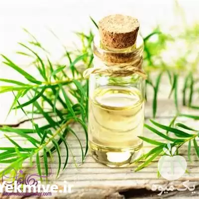 فروش روغن درخت چای با بهترین در تهران در گروه خرید و فروش انواع روغن در یکمیوه -عکس1