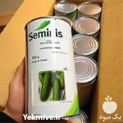 قیمت خرید بذر خیار n 2 مناسب در گروه خرید و فروش بذر خیار در یکمیوه -عکس1