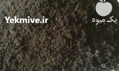 فروش خاک باغچه فله ای در قائم شهر در گروه انواع محصولات خاک و تغذیه در یکمیوه -عکس1