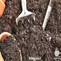 قیمت خرید خاک باغچه در تهران در گروه انواع محصولات خاک و تغذیه در یکمیوه