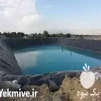 فروش استخر پرورش ماهی با ورق در اصفهان در گروه خرید و فروش استخر کشاورزی در یکمیوه