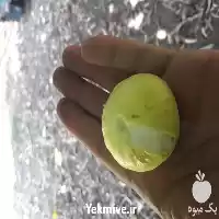 فروش ارائه درخت انجیر گلوگاه زرد در ساری در گروه خرید و فروش انجیر در یکمیوه