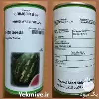قیمت خرید بذر هندوانه B 32 در گروه خرید و فروش بذر هندوانه در یکمیوه