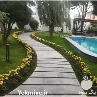 نظام مهندسی کشاورزی طراحی در کرج در گروه مهندس کشاورزی در یکمیوه