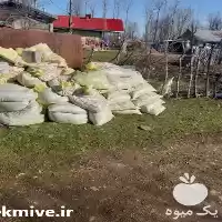 قیمت خرید خاک باغچه کیسه ای در رشت در گروه انواع محصولات خاک و تغذیه در یکمیوه