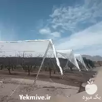 فروش طراحی و نصب باغ در گروه خرید و فروش انواع تجهیزات کشاورزی در یکمیوه