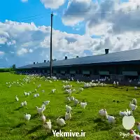 خاک چمن باغ ویلا در مشهد در گروه خرید و فروش انواع کود کشاورزی در یکمیوه