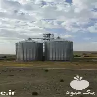 قیمت خرید بهترین سیلو ذخیره سازی در تهران در گروه خوراک دام و طیور در یکمیوه