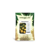 فروش بذر ملون گالیا اریوان Erivan در گروه خرید و فروش بذر ملون در یکمیوه